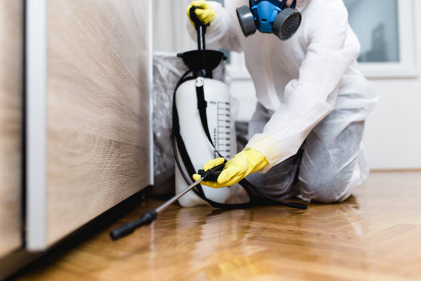 Best Rat Extermination Near Me  in Redwood, OR