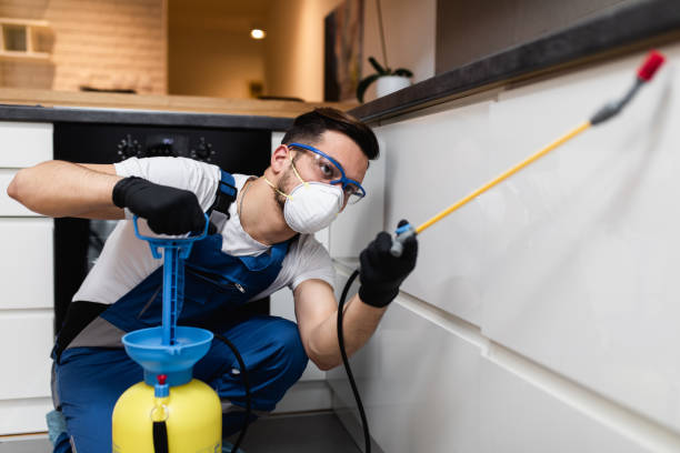 Best Pest Removal Services  in Redwood, OR