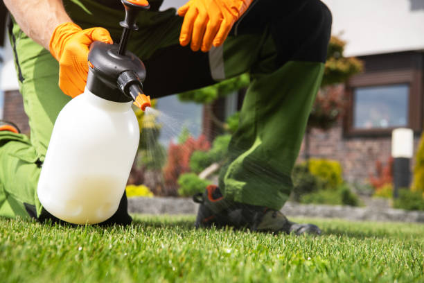 Wasp Removal Services in Redwood, OR