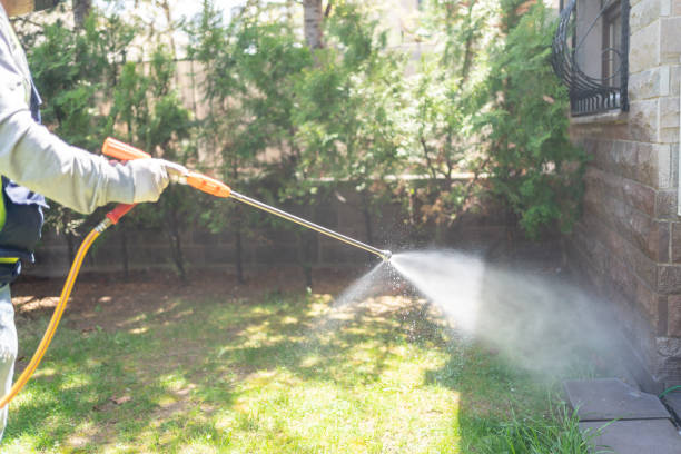 Best Ant Control Services  in Redwood, OR